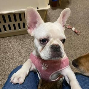 Meet your Posher, Sandee